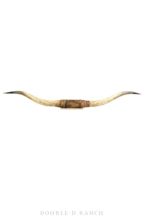 Art, Taxidermy, Longhorn Horn Display, Monumental 8' -3, Vintage, 1225