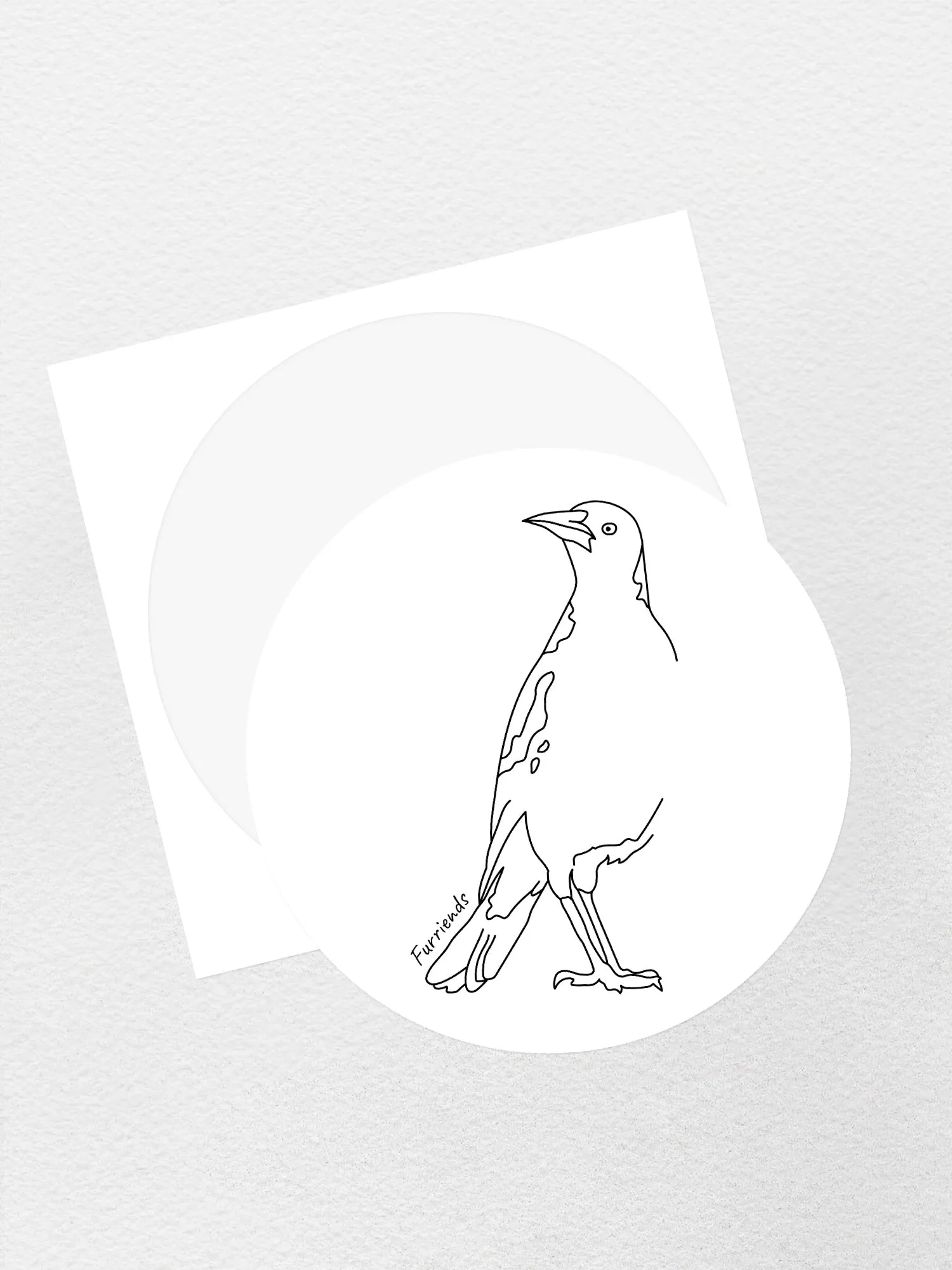 Australian Magpie Sticker