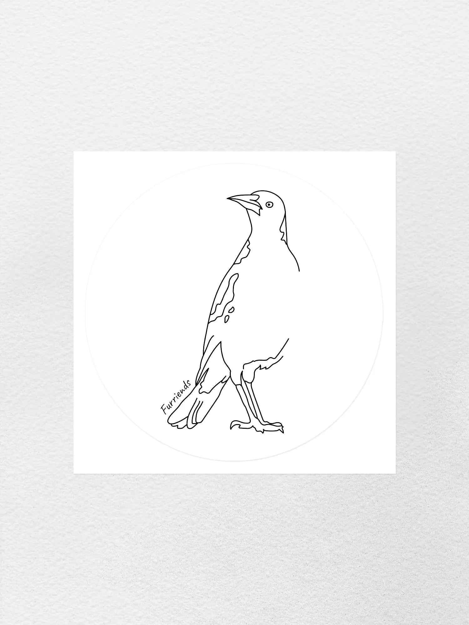 Australian Magpie Sticker