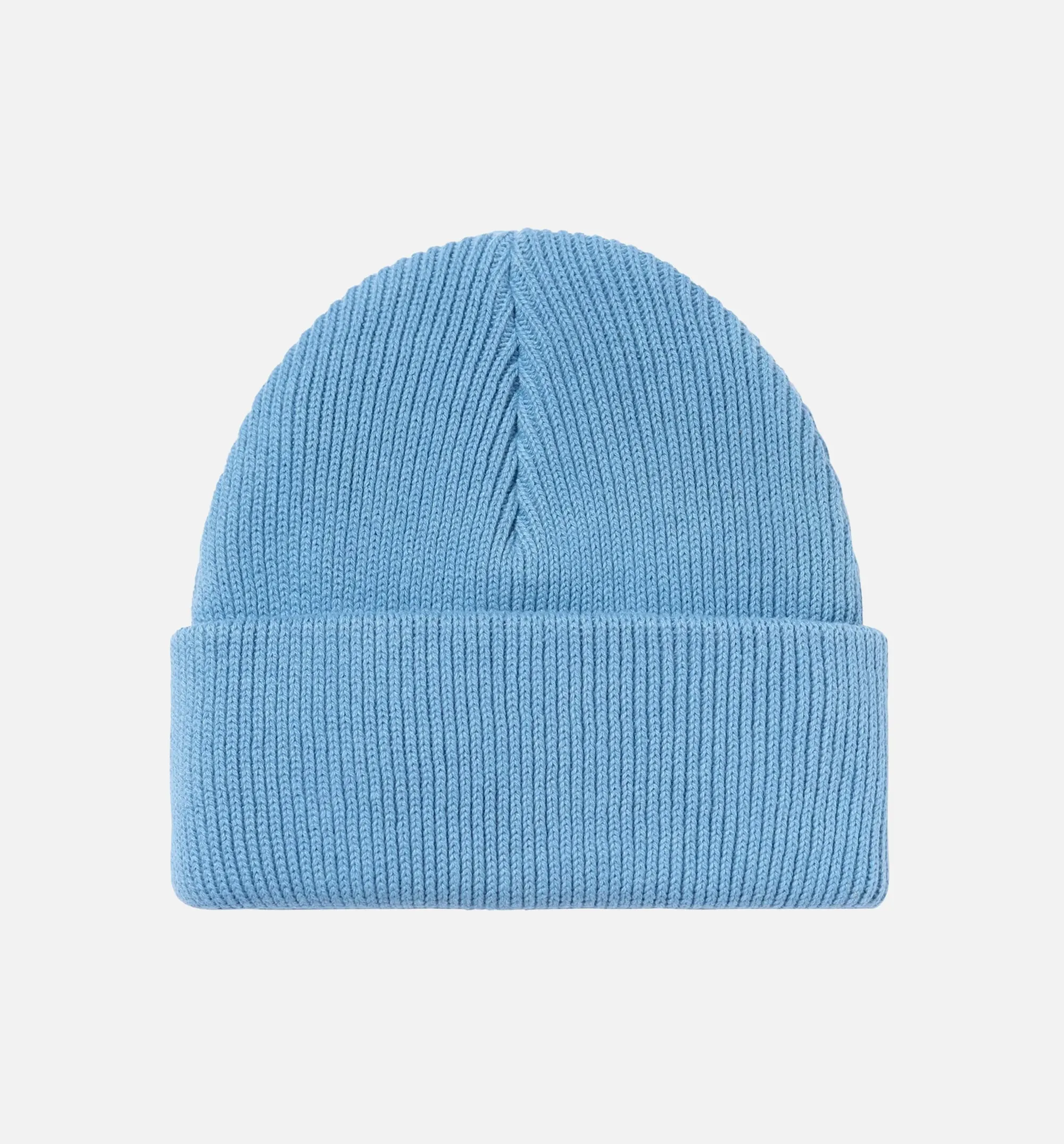 Nelson Beanie Mens Hat - Blue