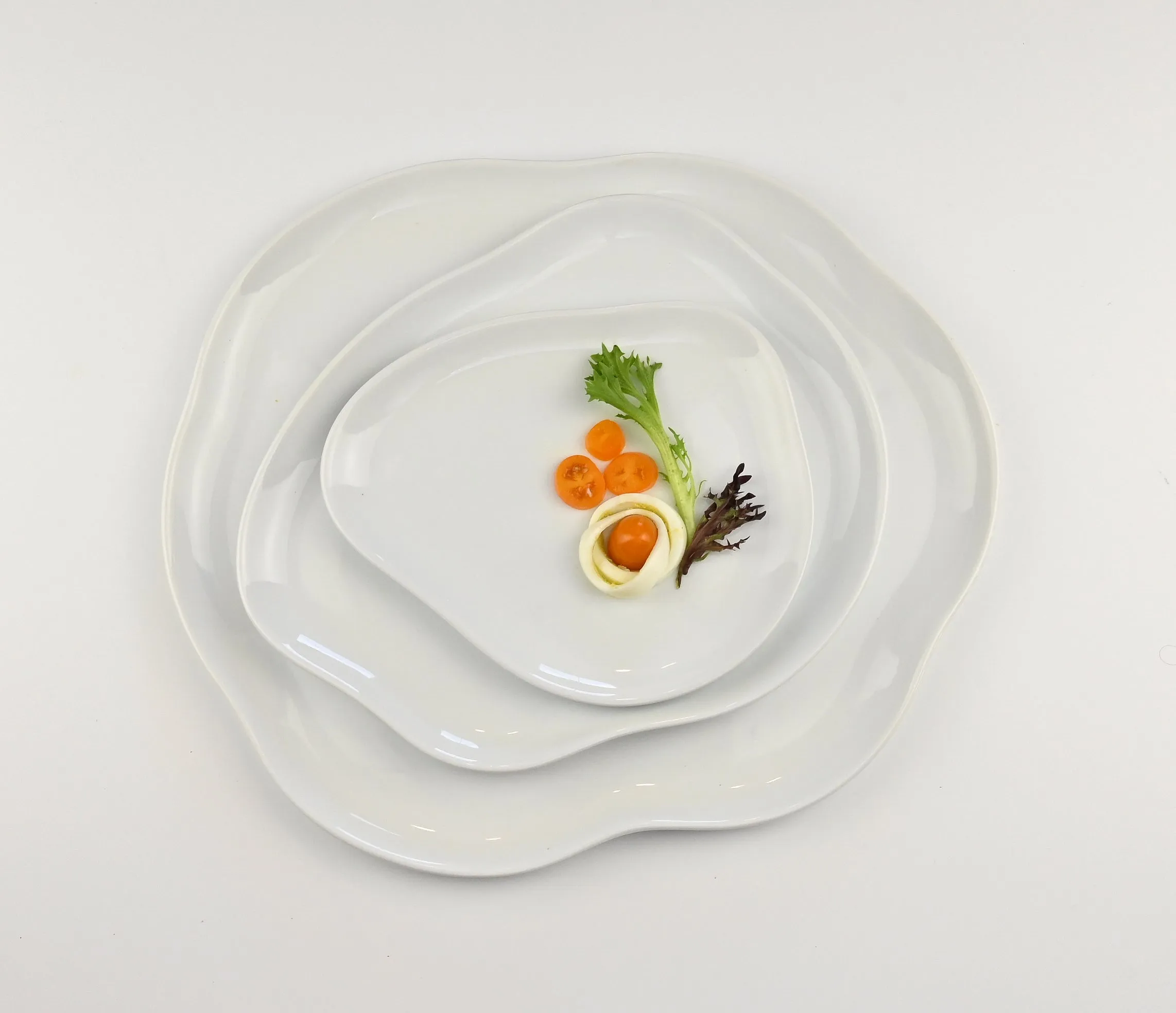 Organic Design Dinner Plates - Set of 6