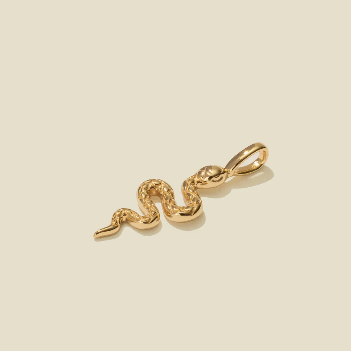 Snake Charm