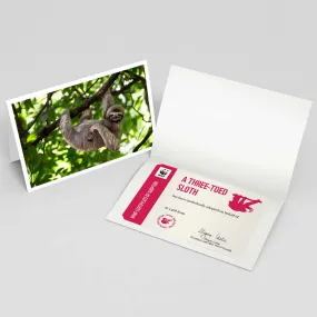 Three-toed sloth adoption card